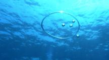 Bubble Rings Float Up Towards The Surface, Blue Water