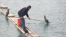 Man Uses Cormorants On Raft For Traditional Fishing Technique