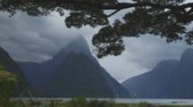 Milford Sound Silhouetted Beneath An Old Tree, Low Tide And Mountains Are Visible, Windy Conditions. Pan From Right To Left.