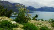 Yarrow Flowers Blooming In White Rocky Soil With Lake And Mountain Backdrop. South Island, New Zealand.