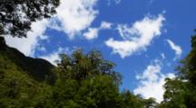 Clouds Slowly Drift Across A Blue Sky In The Rainforest. South Island, New Zealand.