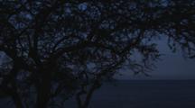 Long Time Lapse From Night To Daybreak Over The Ocean, Showing Current Movements Towards The Shore. Kailua-Kona, Kealakekua Bay, Hawaii.