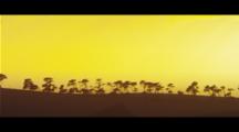 A golden sky horizon pans to a tree lined peninsula