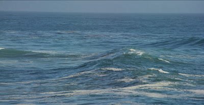 Coastal break pan, SURF Waves, Swell