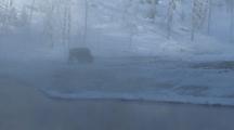 Bison (Bison Bison) Grazes In Snow Near Water