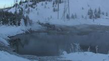Snow Covered Bison (Bison Bison) Rest Near Steaming Water