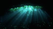 A Diver Swims Across A Wall Of light Entering A Fresh Water Cenote
