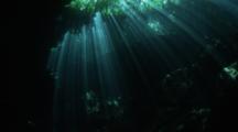 A Diver Swims Across A Wall Of light Entering A Fresh Water Cenote