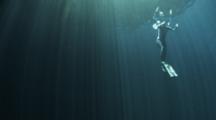 A Female Free Diver Meditates On The Surface Then Dives Down In A Cenote