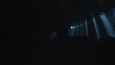  A diver swims into a Cenote Cavern