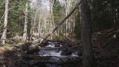 A small stream runs through granite rocks and forest, Acadia National Park