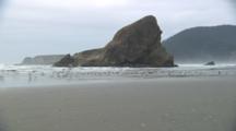 Edited Compilation Of Sea Birds And Rugged Coast Of Pistol River, Oregon