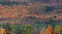 Edited Compilation Of Fall Color Scenics In New England