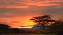 Edited Compilation, Sunset Savanna Scenics, Tanzania, Africa