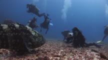 Scuba Diver Photographs Brown-Marbled Grouper, Epinephelus Fuscoguttatus