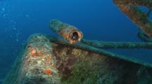 Blenny In A Pipe On The Nasi Yalodina Shipwreck In Fiji