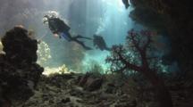 Scuba Divers Swim Through Underwater Channel With Dendronephthya Soft Coral