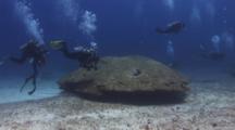 Scuba Divers Drift Past Bommie Of Lobe Coral, Porites Lobata, At Nigali Passage, Fiji