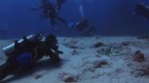 Scuba Diver Watches Malabar Grouper, Epinephelus Malabaricus, Resting In Hollow In Sand