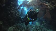 Scuba Diver Explores Swimthrough With Gorgonian Sea Fan, Melithaea Sp.