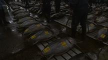 Workers Moving Fresh Tuna Carcasses, Tsukiji Fish Market