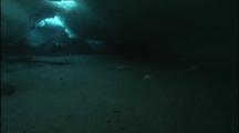 Scuba Diver Swims Below Antarctic Ice Ceiling