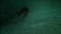 Diver Collects Fish From Ice Shelf