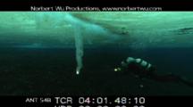 Diver Inspects Underwater Brine Tube
