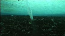 Water Flows Out Of Underwater Brine Tube, Tilt