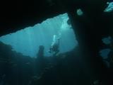  Rays Of Sun Beam Thru Water As Scuba Diver Explores Shipwreck Teeming With Marine Life