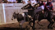 Two Cowboys Force Bull To Run Around Gaucho Rodeo Perimeter