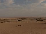 Reg Desert, Pans R To L  Across Flat Sand And Rocks, Tyre Track Visible Faintly, Pan To Large Sand Dunes In Distance