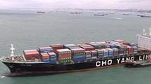 Several Ships Moored In Channel. Others In Transit, Fully Loaded "Cho Yang Line" Container Ship