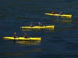 Four 2-Person Sea Kayaks Paddling On Open Sea, Swell, Sunny