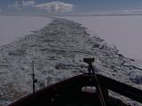 Icebreaker Churns Thru Ice Sheet Leaving Trail Of Floes To Horizon