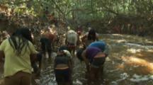 Villagers Use Traditional Methods To Fish,beat plant roots to release toxin