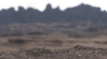 Low,Wide Angle View,Pebble Toad Walking Over Barren Rocky Landscape