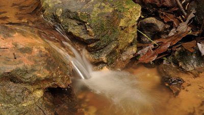 Time Lapse, Moving Water of Stream in Rainforest