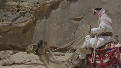 Bedouin Rides and Leads Camels Past Petroglyphs in Jordan Desert