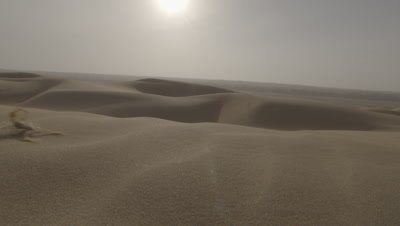 Scorpion Scuttles Across Desert Sand Dune,Bright Sun Behind