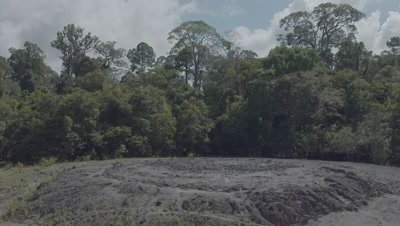 Mud Volcano in the middle of a rainforest