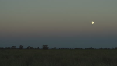 Moon rising over Gorongosa National Park