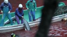 Fishermen In Boat Pull Dead Dolphins Out Of Bloody Water 2