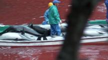 Boat Full Of Fishermen And Dead Dolphins Leaves