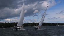 All Sailing Stock Footage