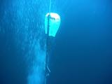 Freediver Ascends With Airbag (Snorkeller)