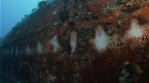 Marks Left On Ship Wreck When Remoras Rest Attached On Wreck