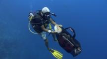 Dive Master Puts Captured Nautilus Into Bag Before Descending To Depth To Release Them