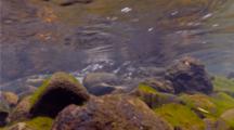Underwater Shot Of Water Pouring Over Rapids