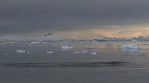 Humpback Whale Blows Sounds Flukes Iceberg Backdrop Antarctica